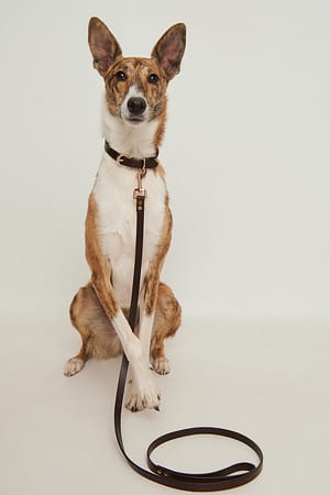 Chocolate Basic Leather Dog Leash