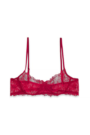 Burgundy Embroidery Mesh Balconette Bra