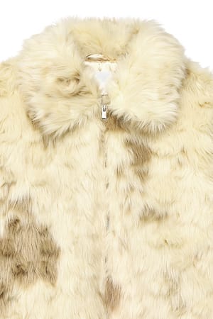 Image 8 of 8