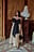 Bow Detail Midi Dress
