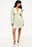 Embroidered Chiffon Long Sleeve Mini Dress