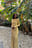 Drapiertes Maxikleid