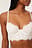 Spitzenbustier